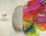 left brain vs right brain infographic
