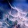 White-Dandelions-iPad-wallpaper-ilikewallpaper_com_1024