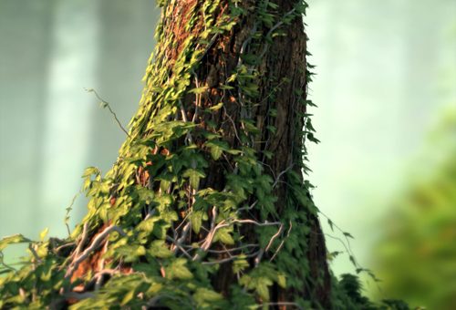 create 3D tre tutorial
