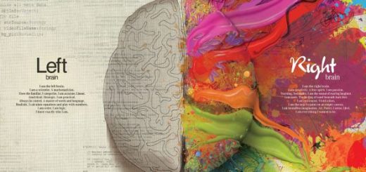 left brain vs right brain infographic
