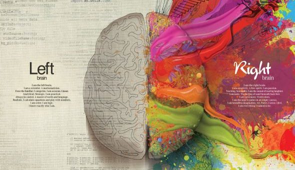 left brain vs right brain infographic