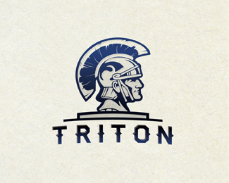 13 Triton