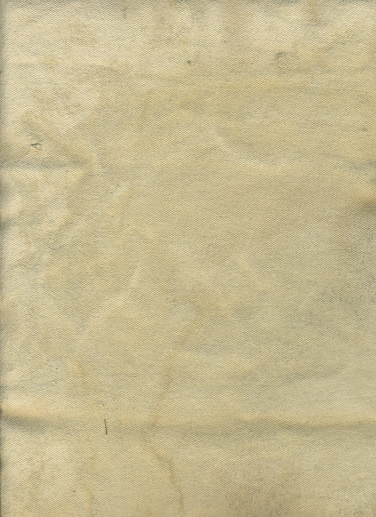 Canvas Texture Free
