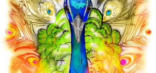 Amazing Peacock Art Piece