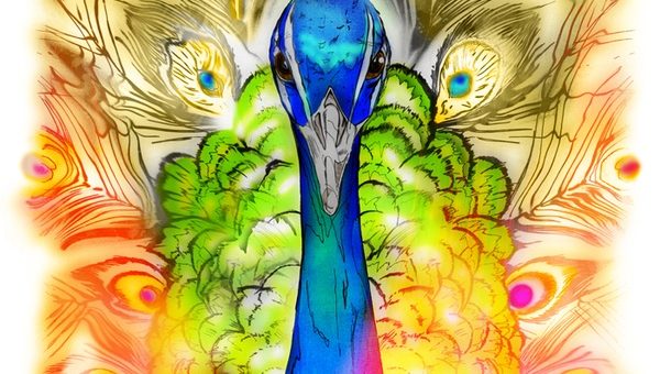 Amazing Peacock Art Piece