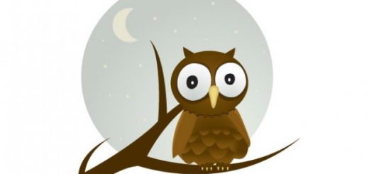 free-vector-owl cute