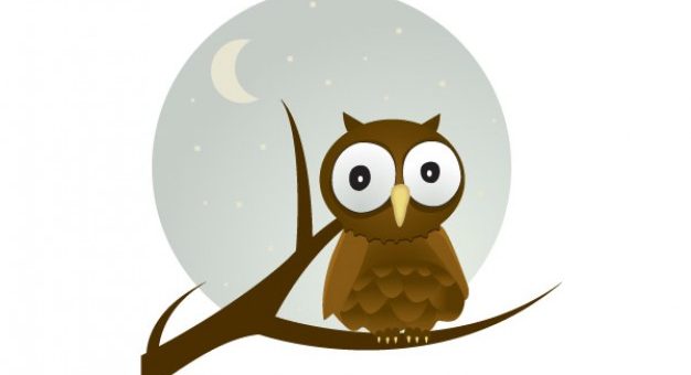 free-vector-owl cute