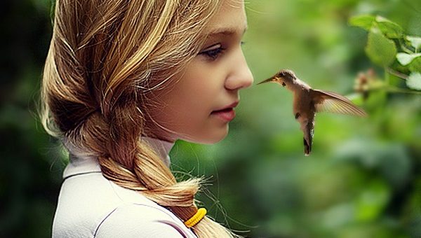 bird_watching apps
