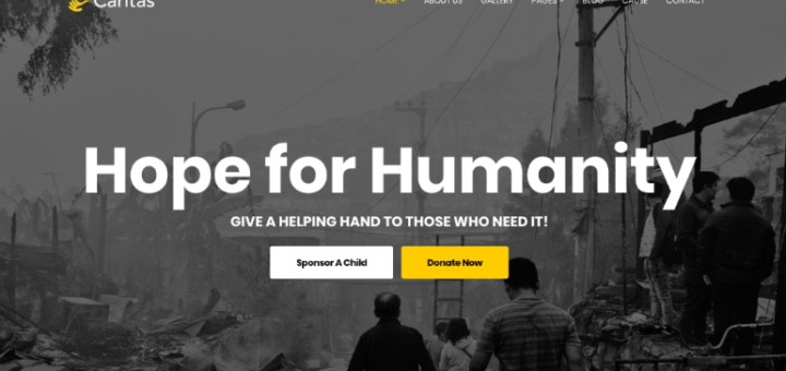 quality wp themes 2020