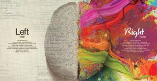 left brain vs right brain infographic